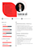 design a professional CV resume
