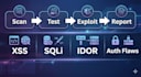 do professional web application penetration testing and security audit
