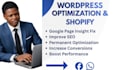 do wordpress and shopify speed optimization for google page speed insight