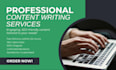 write SEO blog articles and website content