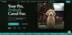 develop a modern website, frontend website development
