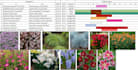design your backyard or garden landscape plan