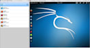 set up ubuntu, kali linux, windows on virtualbox or vmware