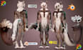 do 3d furry vtuber model, nsfw vrchat avatar, vrc animaze model, vseeface setup