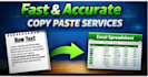 do professional data entry,web research and copypaste work