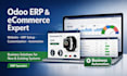 odoo ecommerce website, odoo erp setup, odoo customization expert solution