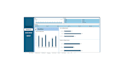 create a professional excel dashboard with charts and analysis