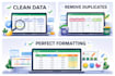 do professional data cleaning and deduplication in 24h