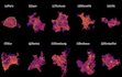 draw scientific figures using python