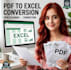 convert PDF to excel  with data cleaning and formatting