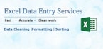 excel data entry and data cleaning