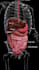 professional 3d medical animation 3d scientific visuals 3d  anatonmy animation