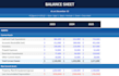 create professional and accurate financial statements