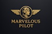 create exclusive and marvelous pilot logo,  for business