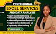 excel data cleaning, excel formatting, excel reporting, excel saas reports