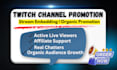 do twitch channel promotion to boost live viewers and audience