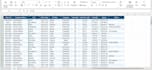 clean, format, and organize your excel data professionally