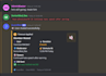 create a custom discord bot for your server