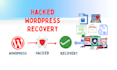 fix wordpress error and do professional wordpress bug fix