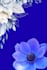 create beautiful floral pattern design for textiles