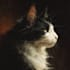 create an epic cat potrait art
