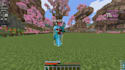 train you in any type of minecraft pvp