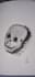 teach you how to draw
