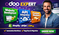 do odoo website development, api integration and custom module