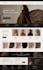 a professional shopify website or online store