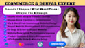 develop lazada shopee stores and design or fix drupal website or wordpress