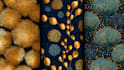 create unique pattern designs