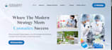 build a wordpress website