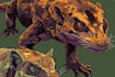 draw detail animal illustration