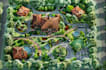 make property and plat map, site plan, landscape design, and rendering
