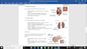 fast and accurate copy typing and document formatting