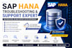 provide expert sap hana database consulting and support