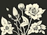 illustrate botanical and linocut vector art