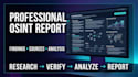 conduct a professional osint investigation