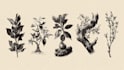create a unique botanical hand drawn logo