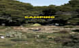 do high conversion reel scripts