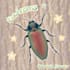 illustrate cute silly insects