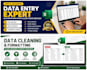 do data cleaning and formatting in excel professionally