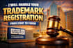 handle your trademark registration professionally