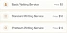 professionally edit, rewrite and polish your english text