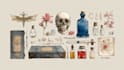 do medical and scientific illustrations