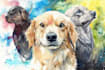 draw watercolor pet portrait