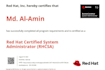 provide technical support for vmware and hcl domino
