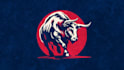 design unique political campaign logo