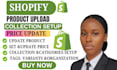 do shopify product listing, collections setup and  update