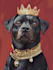 create masterpiece renaissance historical pet portrait